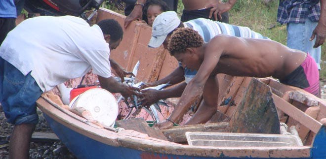 Unloading the catch © BW Media